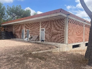 DEL PINO 2