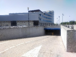 BIOLOGIA 4