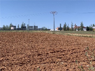 SECTOR 08:R. DE MIGUEL 2