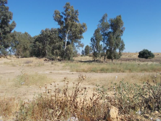 Suel urbanizable en Pt Santa Bárbara 3