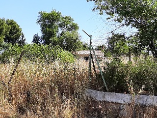 Camino de Cabañas 23