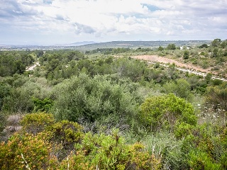 Suelo no urbanizable en C/ Puntiro - Palma de Mallorca - 74