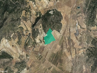 Suelo en Monóvar 45