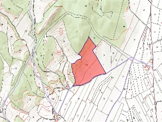 Suelo en Monóvar 46