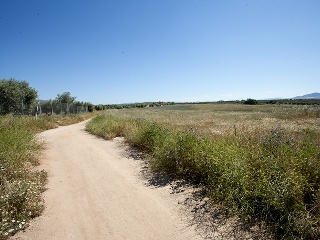 Suelo en Argés 34