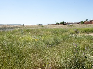 Suelo en Argés 38