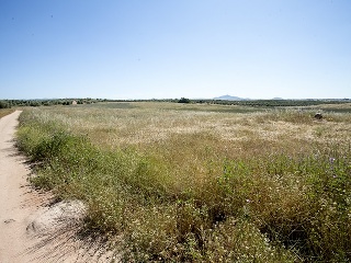 Suelo en Argés 41