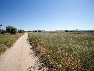 Suelo en Argés 46