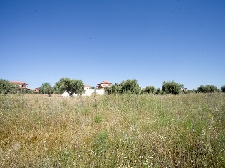Suelo en Argés 47