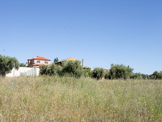 Suelo en Argés 49