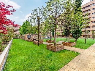 Vivienda y garajes en C/ Van Gogh  28