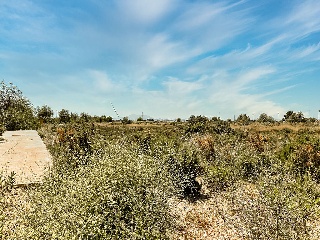 Sector PP 13 Mirador del Delta 1 67