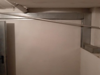 Rentador 17