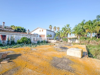 Joan Bosco 67
