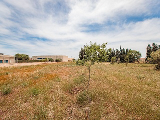 Suelo urbano con edificación en L´Aldea 105