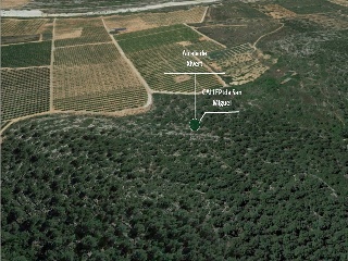 Suelos rústicos en Alcalà de Xivert - Castellón - 35
