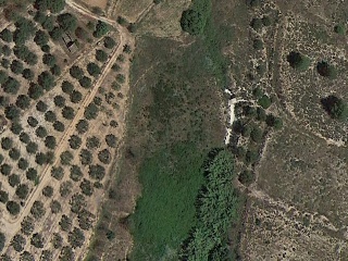Suelo en Ptda. Carrascot, L´Olleria (Valencia) 20