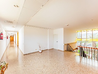 Oficinas en Las Palmas de Gran Canaria 43