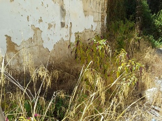 Suelo en Inca 35