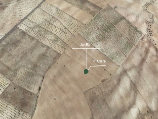 Suelo en Ptda Arsenal - Jumilla - 29