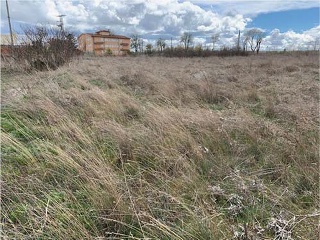 Suelo en Olmedo - Valladolid - 24