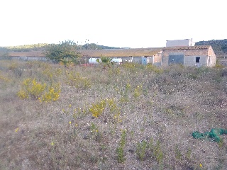 NAve Industrial situada en Traiguera - Castellón 45