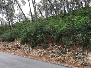 Suelo urbano consolidado en C/ Sorolla 33