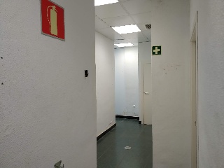 Colón 31