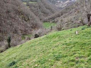 Suelo en Lg Ronderos 18