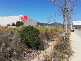 Suelos en Ptda Plau de Reig - Valls - Tarragona 18