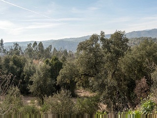 Suelo en Lg Selva, Riudarenes (Girona) 24