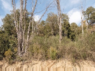Suelo en Lg Selva, Riudarenes (Girona) 25