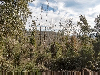 Suelo en Lg Selva, Riudarenes (Girona) 26