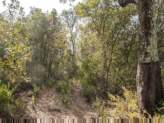 Suelo en Lg Selva, Riudarenes (Girona) 27