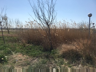 Suelos en Artesa de Lleida 46