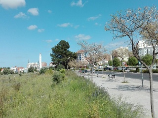 Suelo en PT Bovalar 20