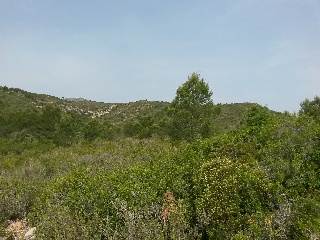 Suelo en Pratdip 30