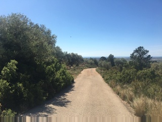 Terreno con edificación en Pt Sinyoles o Carxols, La Sénia 35