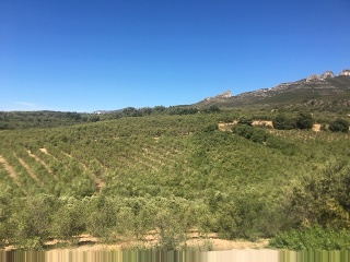 Terreno con edificación en Pt Sinyoles o Carxols, La Sénia 36