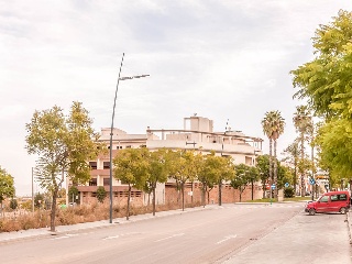 Concha Lagos 70