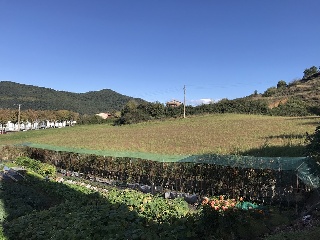 Suelo en Olot 28