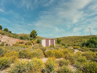 Suelo en Lorca 104