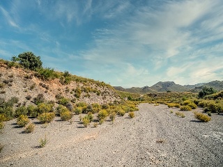 Suelo en Lorca 105