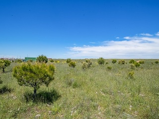 Suelo en La Lastrilla 49
