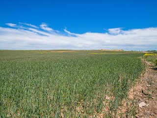 Suelo en La Lastrilla 52