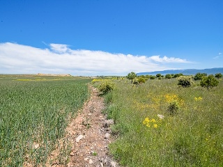 Suelo en La Lastrilla 53