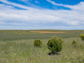 Suelo en La Lastrilla 60