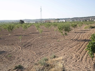 Suelo en Caudete de las Fuentes  18