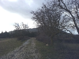 Suelo en Estella-Lizarra 15
