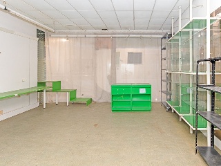 Local en C/ Larga - C.C. Los Cisnes - 38